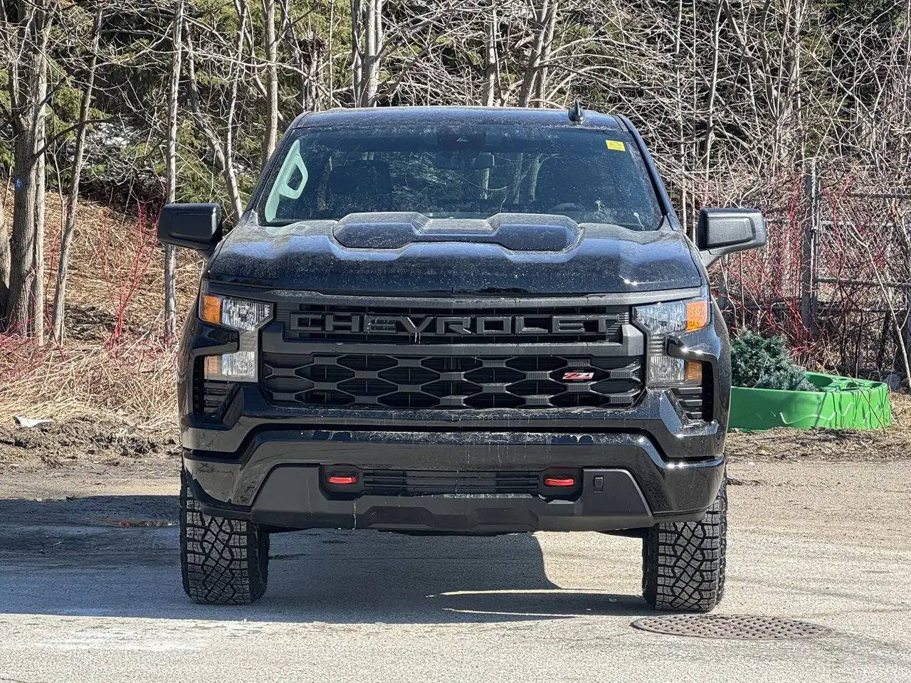 Chevrolet Silverado 1500 снимка Chevrolet Silverado 1500