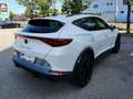 CUPRA Formentor Formentor 1,4 e-Hybrid 204 Cupra DSG Cupra Weiß - thumbnail 5