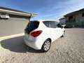 Opel Meriva 1.3 CDTI 95cv 37.820 km unico proprietario Bianco - thumbnail 3