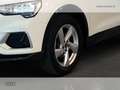Audi Q3 35 2.0 tdi business advanced s-tronic Bianco - thumbnail 14