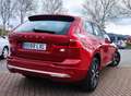 Volvo XC60 T6 Twin Recharge Inscription Rojo - thumbnail 7
