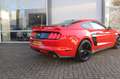 Ford Mustang FASTBACK 2.3 ECOBOOST/370PK/ROUSH UITL/6BAK/19 Rood - thumbnail 14