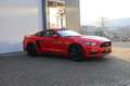 Ford Mustang FASTBACK 2.3 ECOBOOST/370PK/ROUSH UITL/6BAK/19 Rood - thumbnail 12