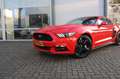 Ford Mustang FASTBACK 2.3 ECOBOOST/370PK/ROUSH UITL/6BAK/19 Rood - thumbnail 13