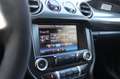 Ford Mustang FASTBACK 2.3 ECOBOOST/370PK/ROUSH UITL/6BAK/19 Rood - thumbnail 50
