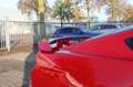 Ford Mustang FASTBACK 2.3 ECOBOOST/370PK/ROUSH UITL/6BAK/19 Rood - thumbnail 25
