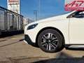 Volvo V40 Cross Country V40 Cross Country D2 Business Plus Blanc - thumbnail 9
