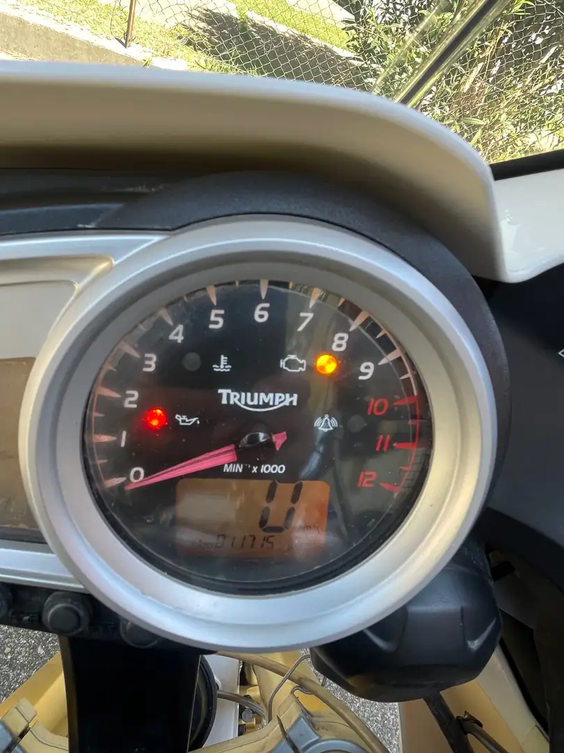 Triumph Tiger 1050 Bianco - 1