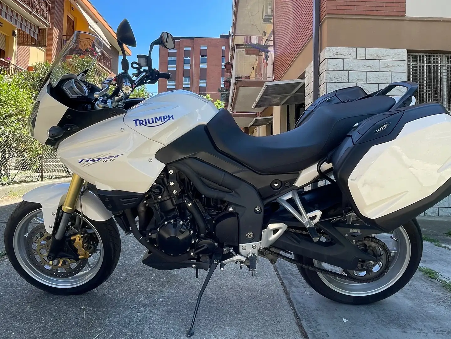 Triumph Tiger 1050 Bianco - 2