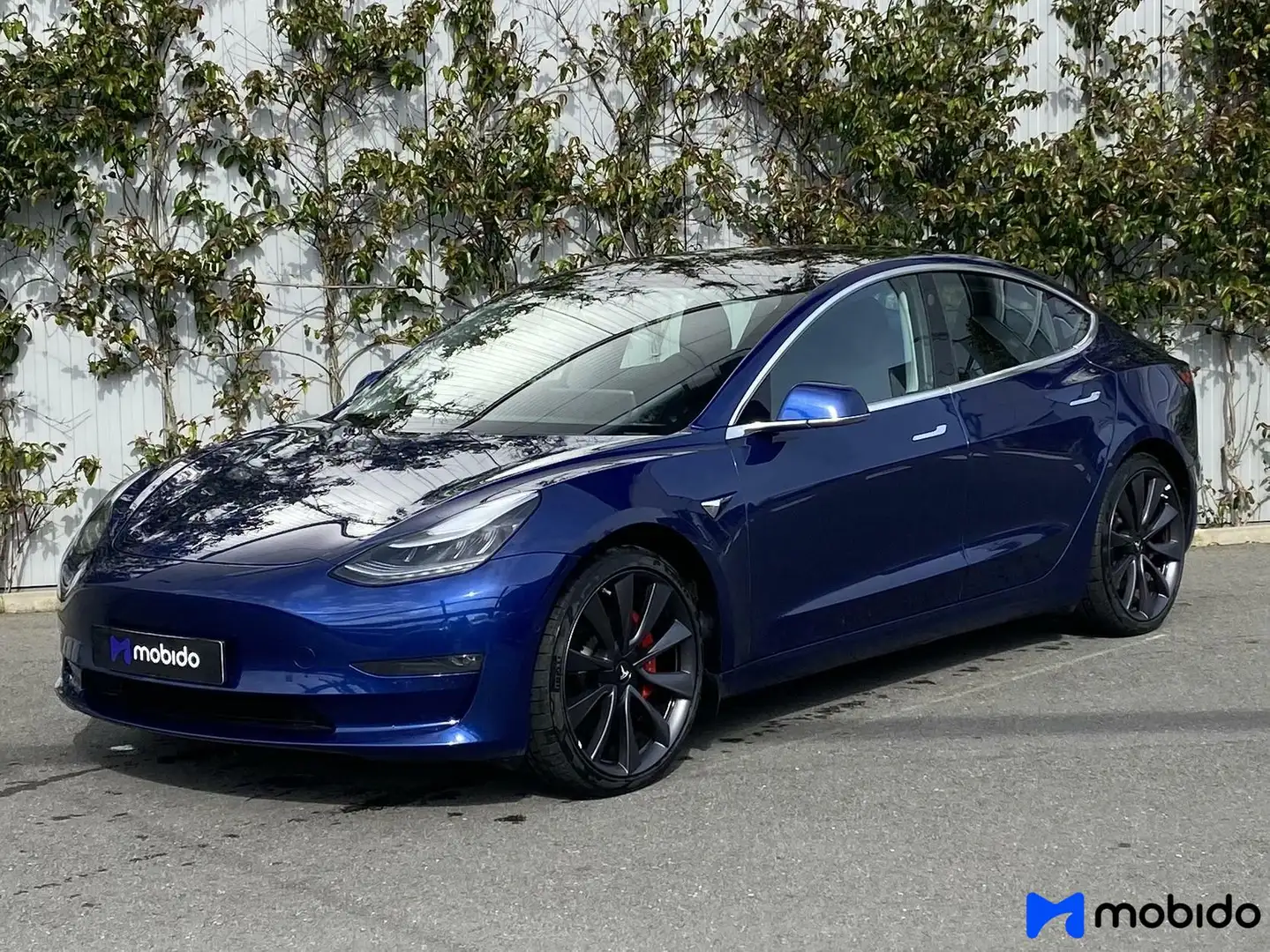 Tesla Model 3 Performance 75 kWh | 20" Lichtmetalen velgen | Blauw - 1