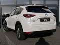Mazda CX-5 2.0 Exclusive-Line *Head-up*DAB*RFK*LED* Weiß - thumbnail 17