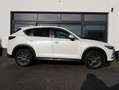 Mazda CX-5 2.0 Exclusive-Line *Head-up*DAB*RFK*LED* Weiß - thumbnail 6