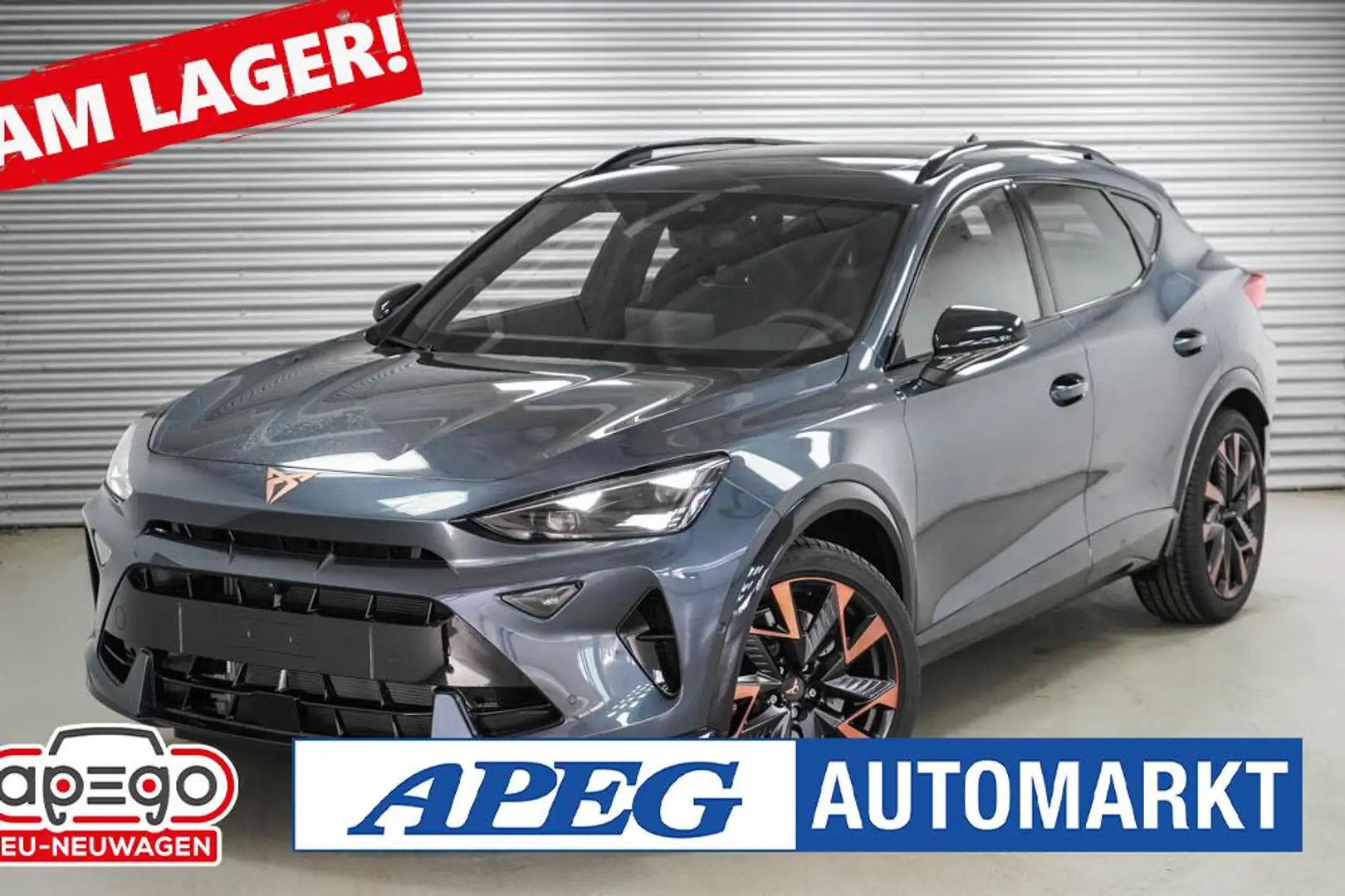 CUPRA Formentor 2,0 TSI DSG 4x4 VZ Grau - 1