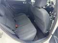 Ford Fiesta Fiesta 5p 1.4 16v Titanium Business Gpl Blanc - thumbnail 20