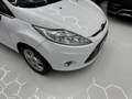 Ford Fiesta Fiesta 5p 1.4 16v Titanium Business Gpl Blanc - thumbnail 8