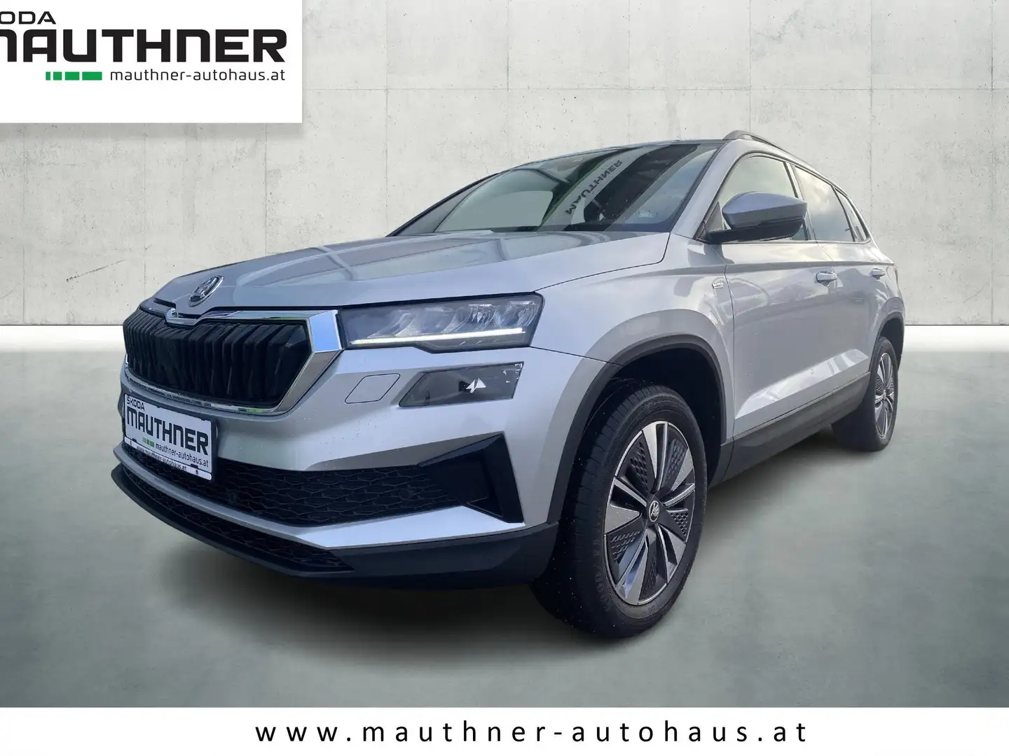 Skoda Karoq Tour Silber - 1