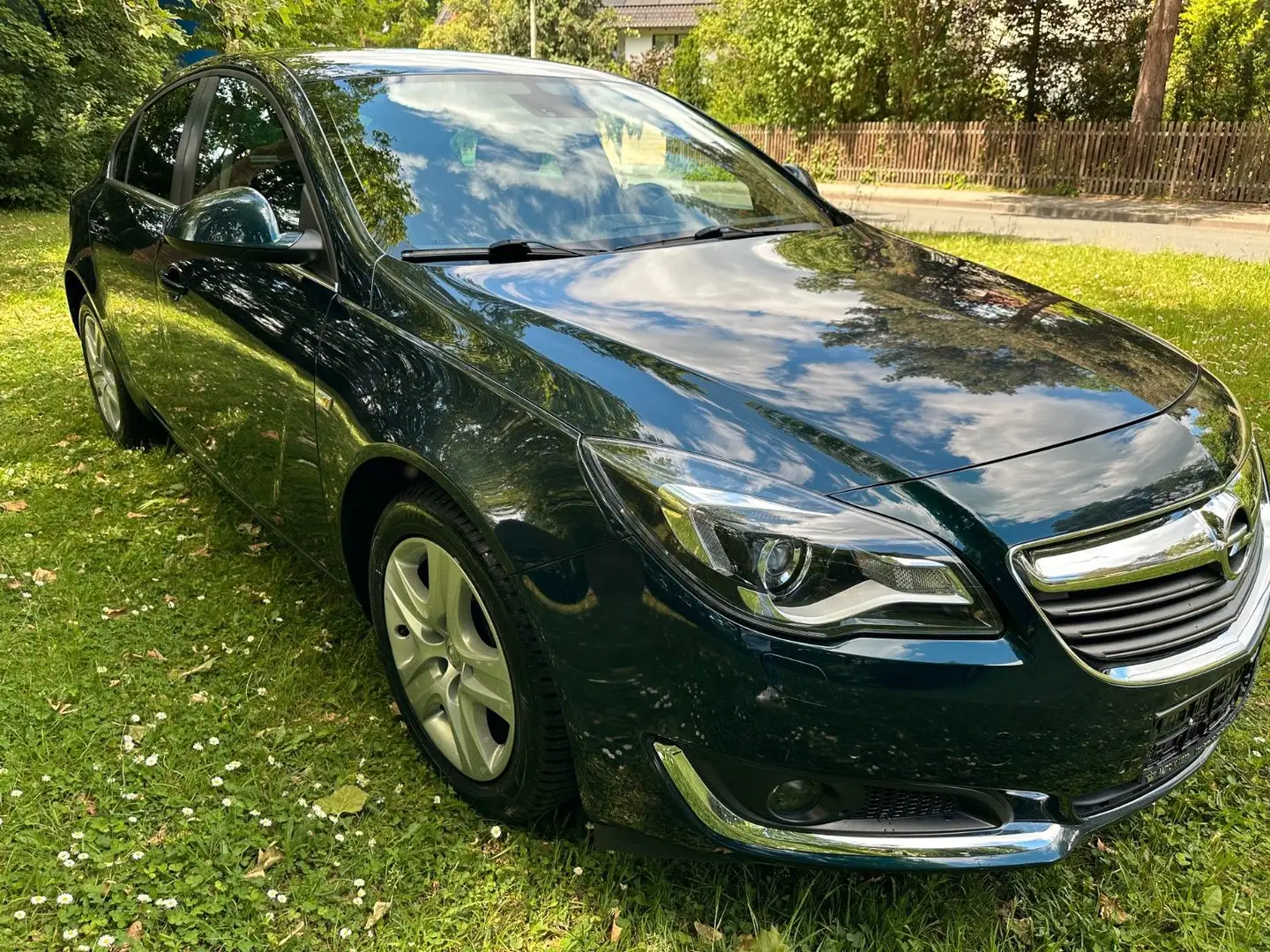 Opel Insignia A Lim. Edition 2 HAND/SHZ/PDC/8 FACH Grün - 1