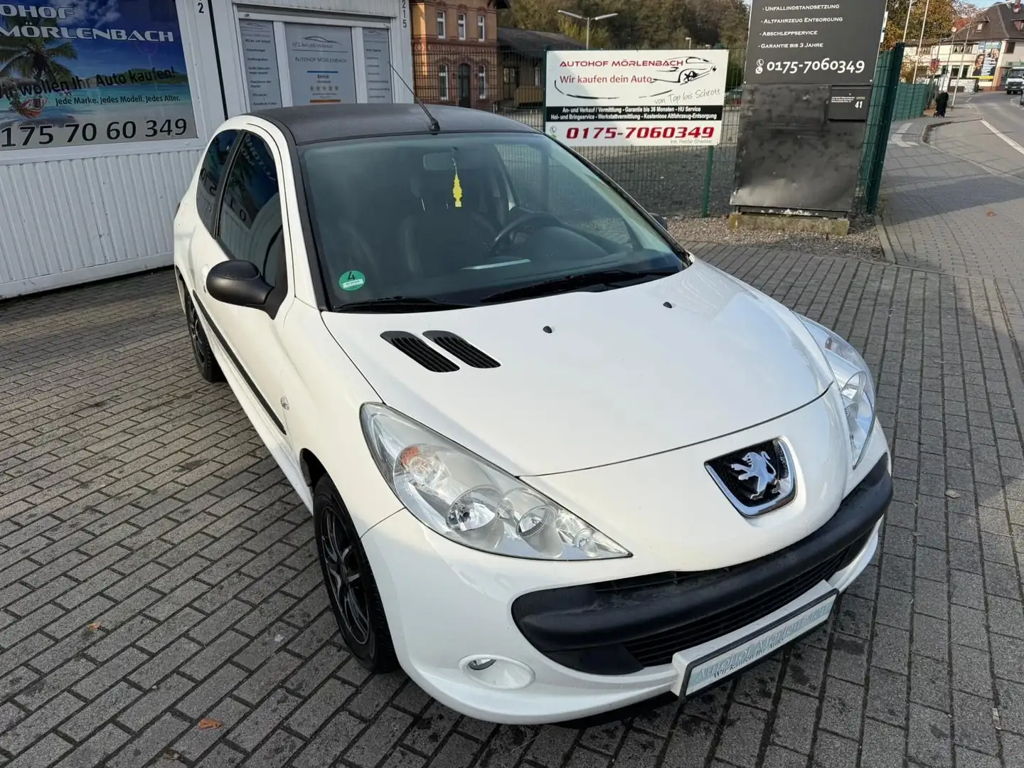 Peugeot 206 + Basis Weiß - 2