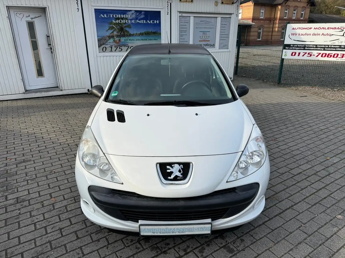 Peugeot 206 + Basis Weiß - 1