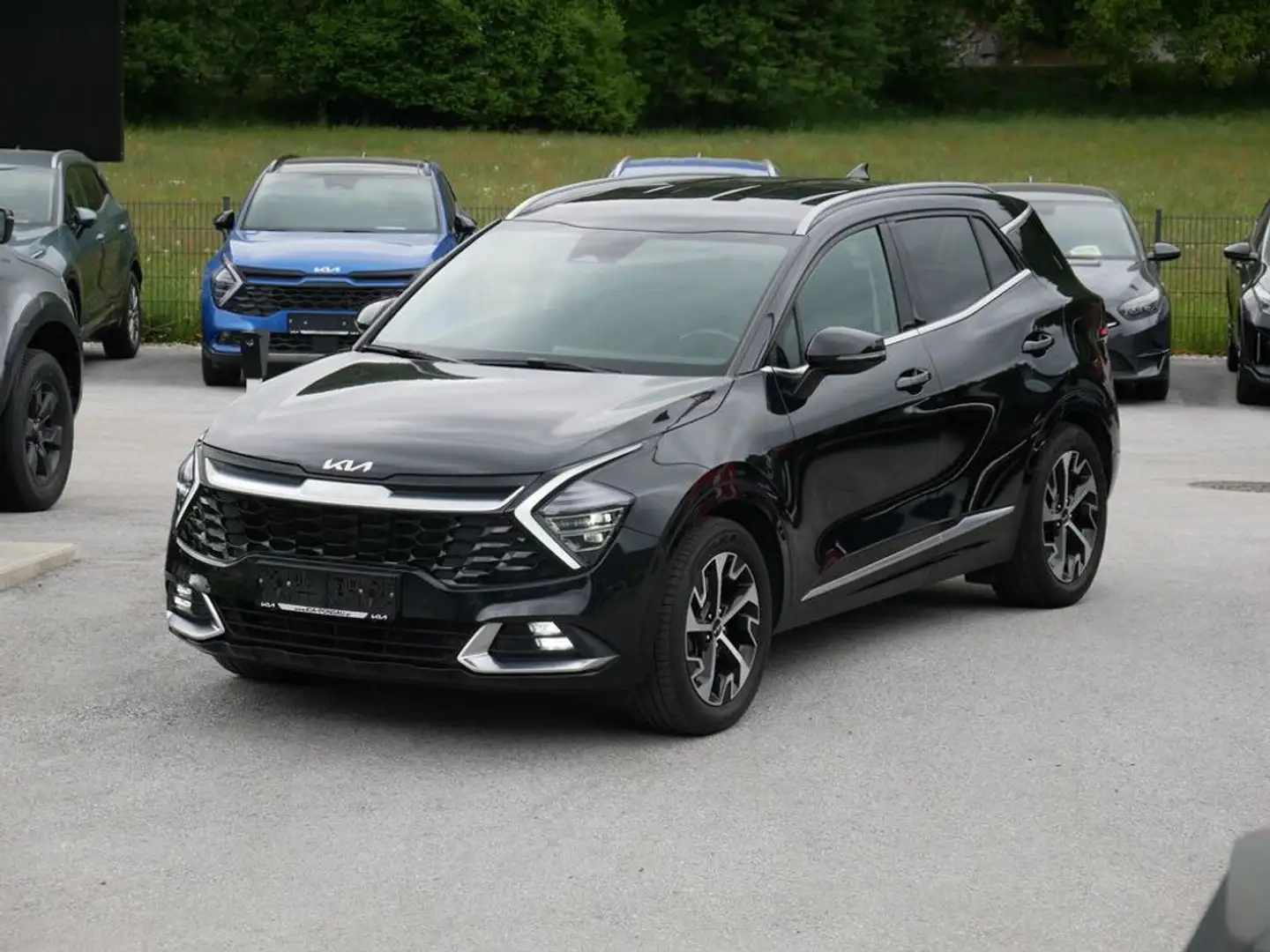 Kia Sportage 1,6 TGDI 48V Gold AWD DCT + Anhängerkuppl Schwarz - 2