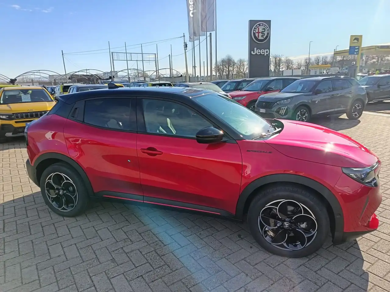 Alfa Romeo Junior 2025