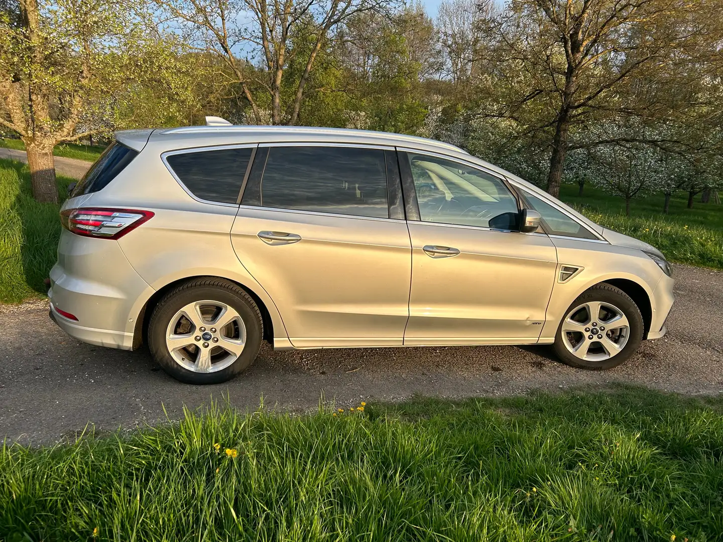 Ford S-Max 4 x 4 Argent - 2