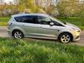Ford S-Max 4 x 4 Argent - thumbnail 9