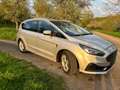 Ford S-Max 4 x 4 Argent - thumbnail 1