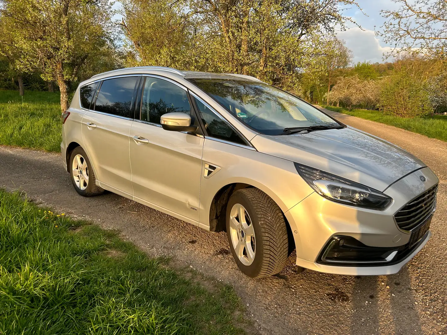 Ford S-Max 4 x 4 Argent - 1
