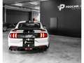 Ford Mustang SHELBY GT500/20/CARBON/RECARO/EXCLUSIVE/PERFORMANC Blanc - thumbnail 15