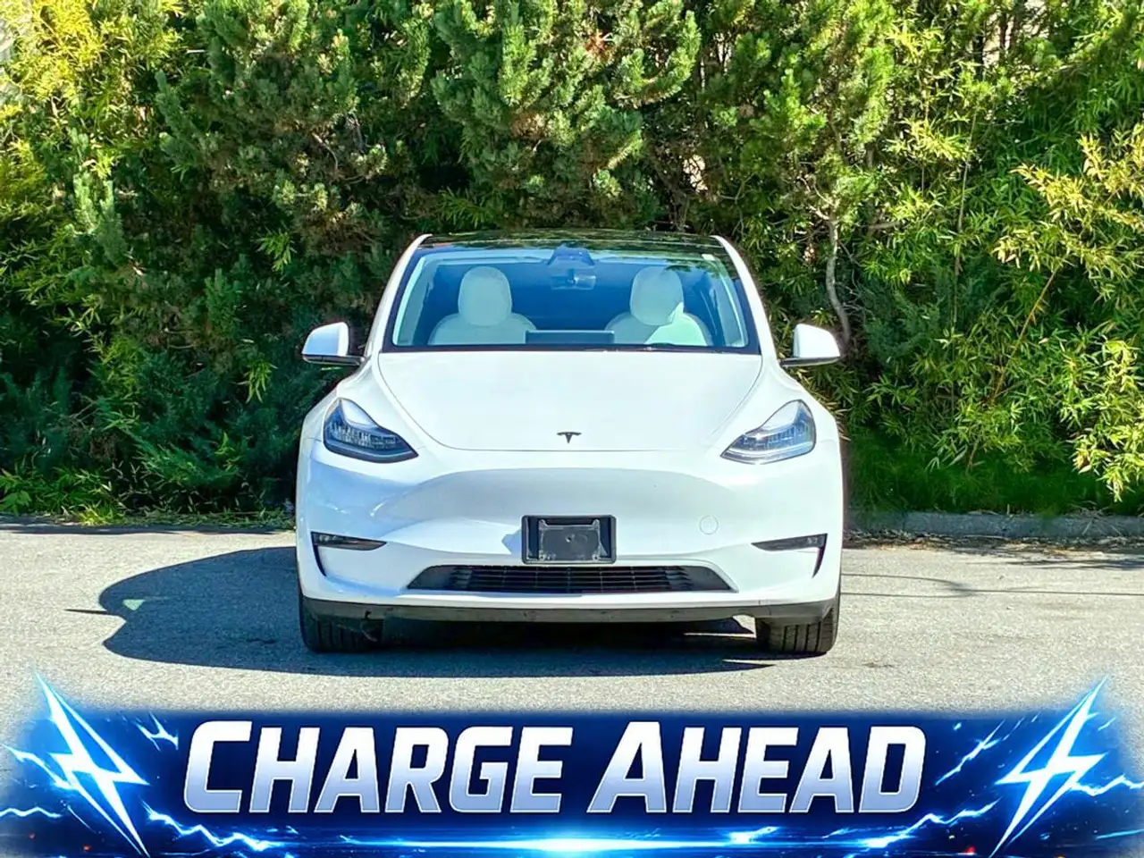 Tesla Model Y photo Tesla Model Y