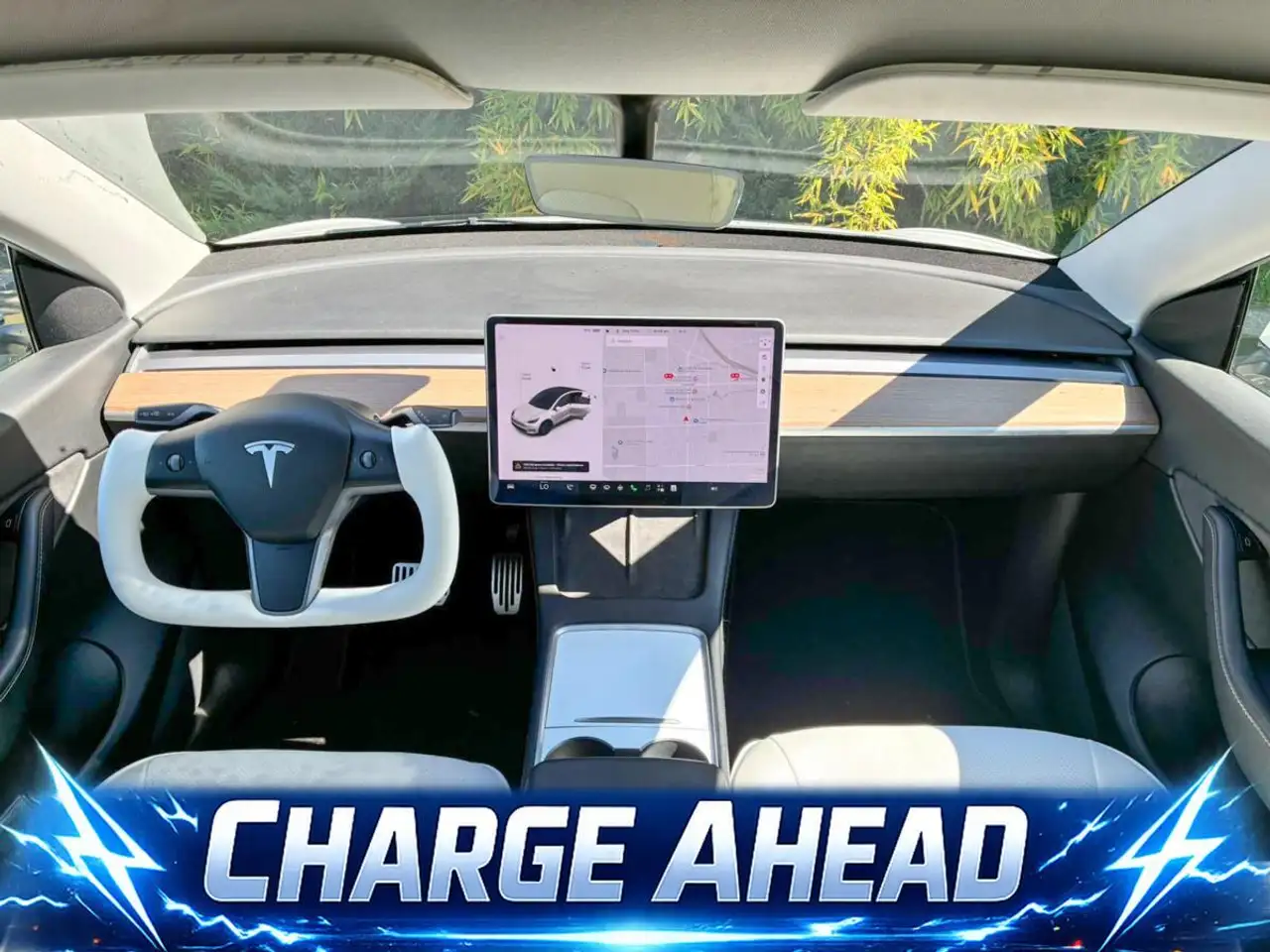 Tesla Model Y photo Tesla Model Y