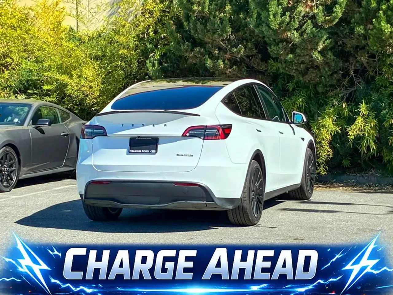 Tesla Model Y photo Tesla Model Y