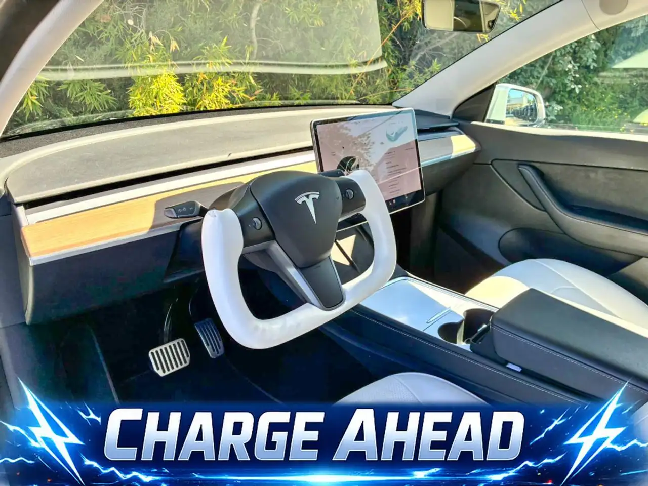 Tesla Model Y photo Tesla Model Y