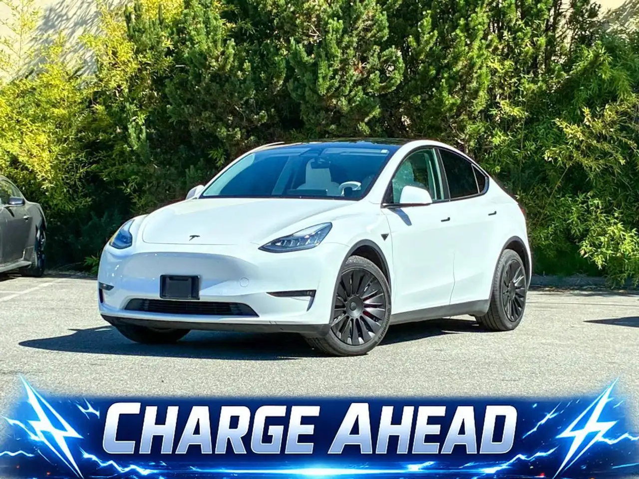 Tesla Model Y photo Tesla Model Y