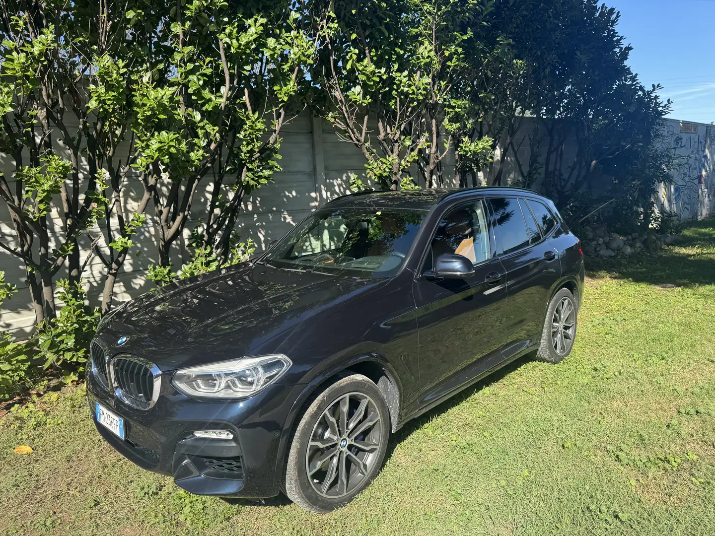 BMW X3 xdrive30d Luxury 265cv auto TUTTA TAGLIANDATA BMW - 2