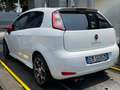 Fiat Punto Evo Punto Evo 3p 1.3 mjt Blue Bianco - thumbnail 3