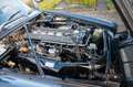 Jaguar XJ6 4.2 Aut. serie 2 LWB Сірий - thumbnail 13