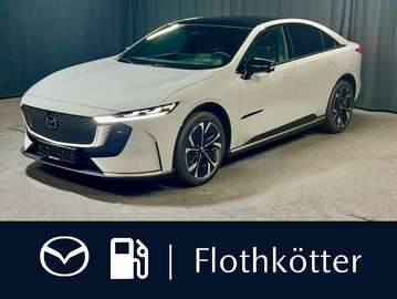 258PS TAKUMI*LEDER-S*PANO