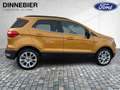 Ford EcoSport Titanium 1.0 l *Winter Paket* Gelb - thumbnail 6