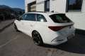 CUPRA Leon SP Kombi 1,5eTSI DSG Weiß - thumbnail 7