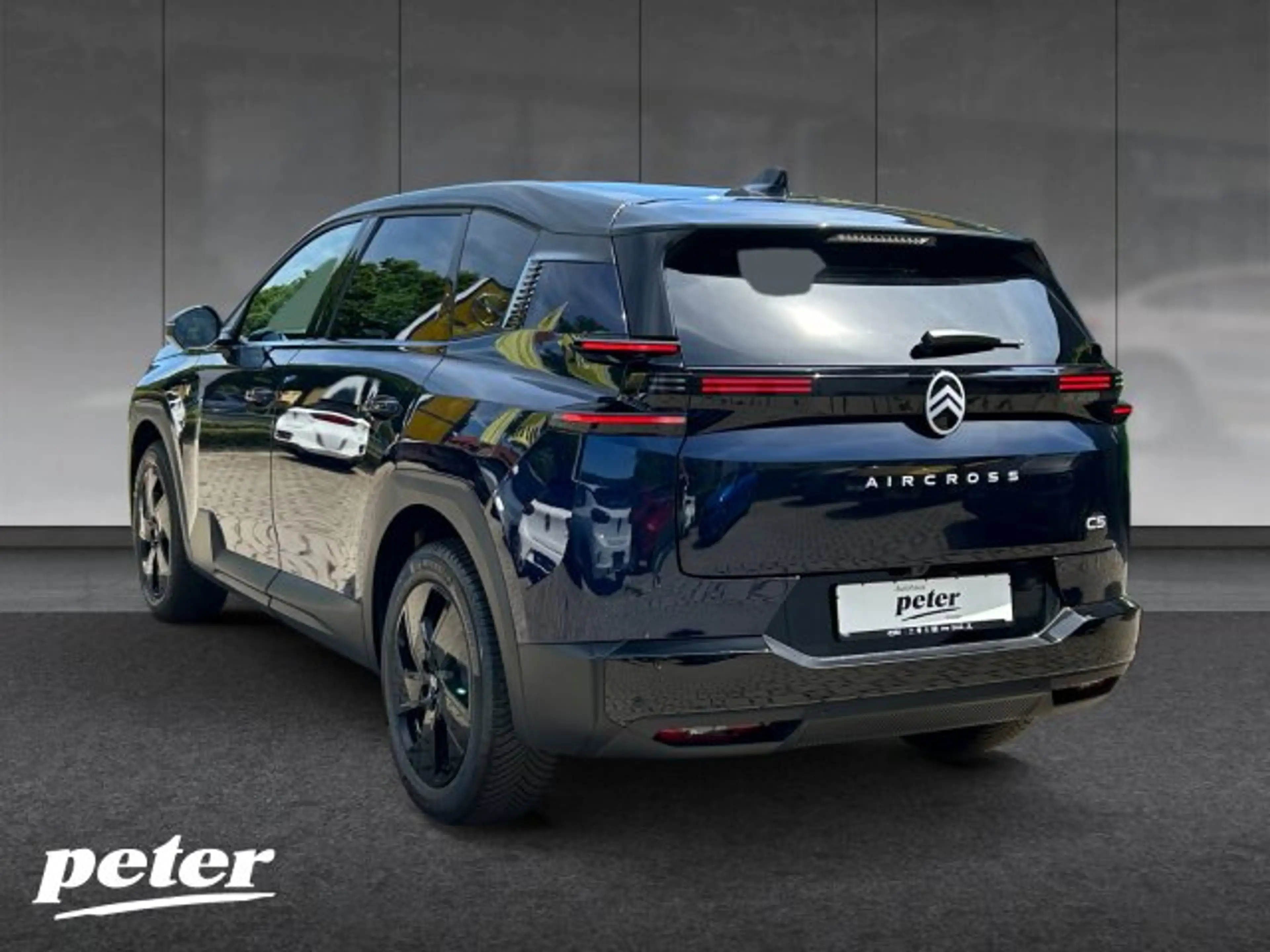 Citroen C5 Aircross C5 Aircross TEAM-D 145 BAR +Allwetter+Matrix+FSH — photo 3
