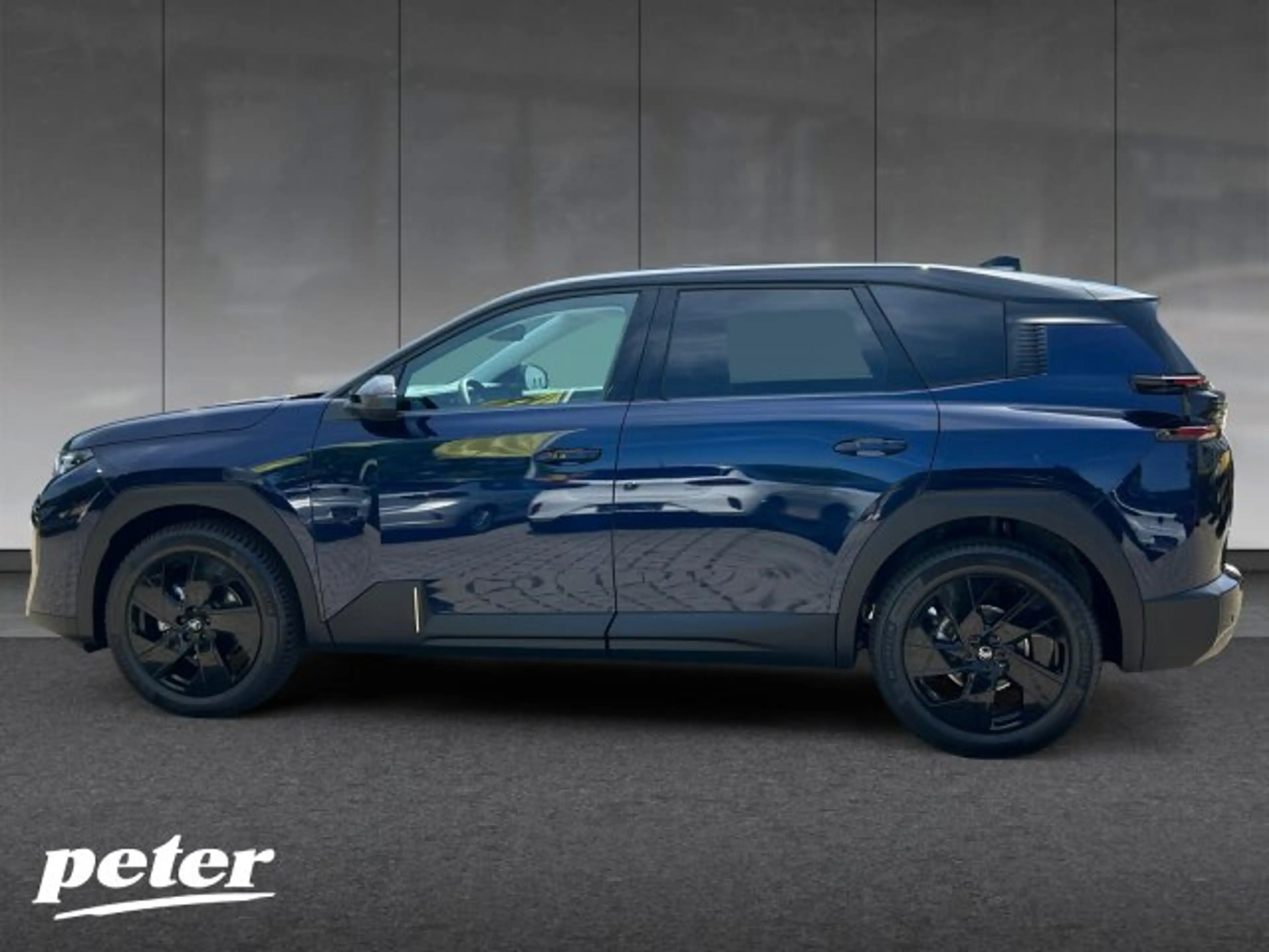 Citroen C5 Aircross C5 Aircross TEAM-D 145 BAR +Allwetter+Matrix+FSH — photo 2