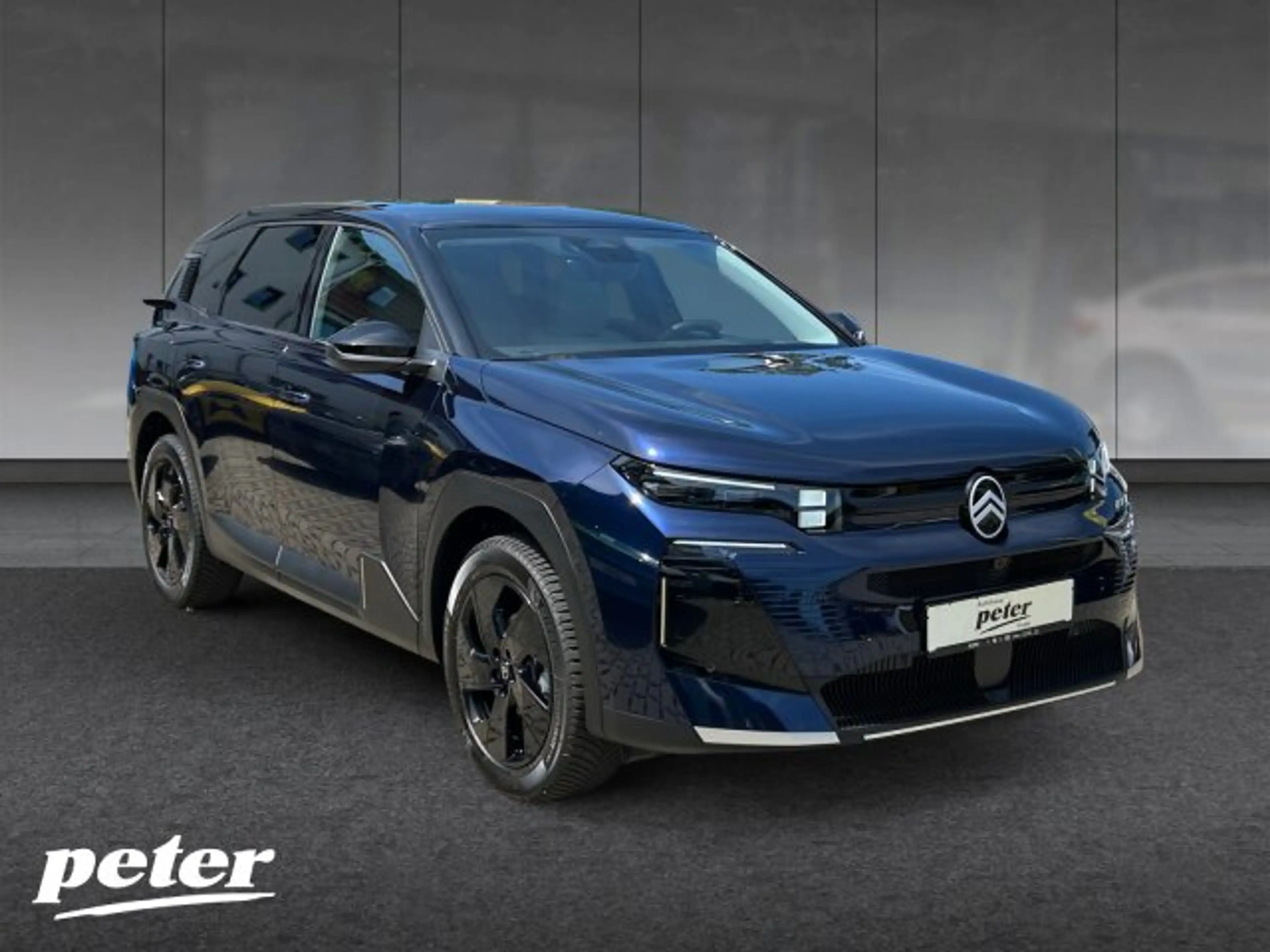 Citroen C5 Aircross C5 Aircross TEAM-D 145 BAR +Allwetter+Matrix+FSH — photo 5