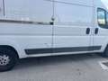Fiat Ducato Fiat Ducato 120 Multijet 2.3 D Weiß - thumbnail 16