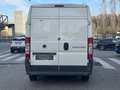 Fiat Ducato Fiat Ducato 120 Multijet 2.3 D Bianco - thumbnail 5