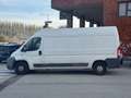 Fiat Ducato Fiat Ducato 120 Multijet 2.3 D Bianco - thumbnail 6