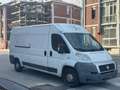 Fiat Ducato Fiat Ducato 120 Multijet 2.3 D Bianco - thumbnail 3