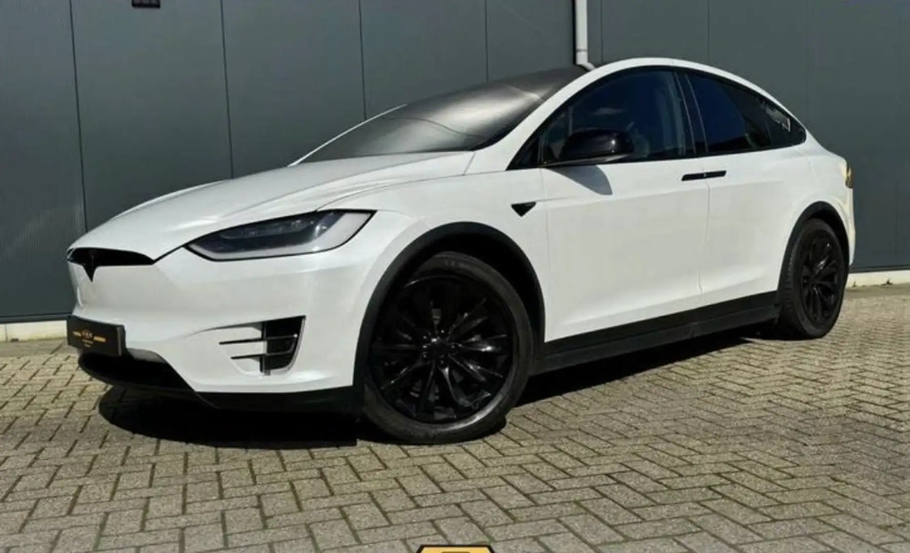 Tesla Model X 75D Base 6p. Alb - 1