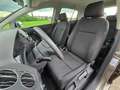 Volkswagen Golf Plus 1,6 TDI Top* Kredit* Anhängerkupplung- PDC* Brun - thumbnail 11